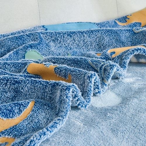 Custom Logo Dinosaur Blanket