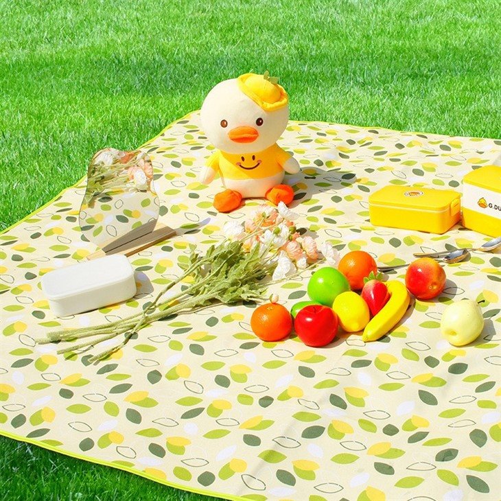 family picnic blanket