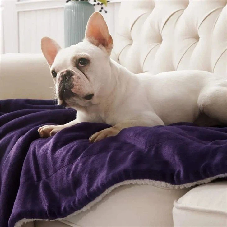 sherpa blanket for winter