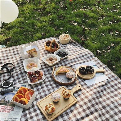 Manta e tapete de piquenique 100% acrílico