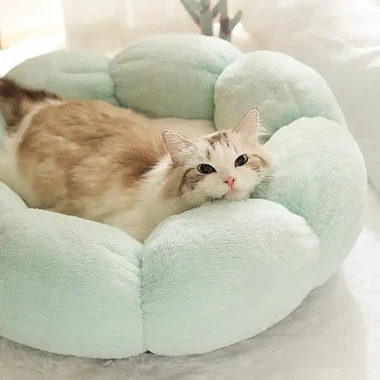 Almofada quente para animais de estimação
